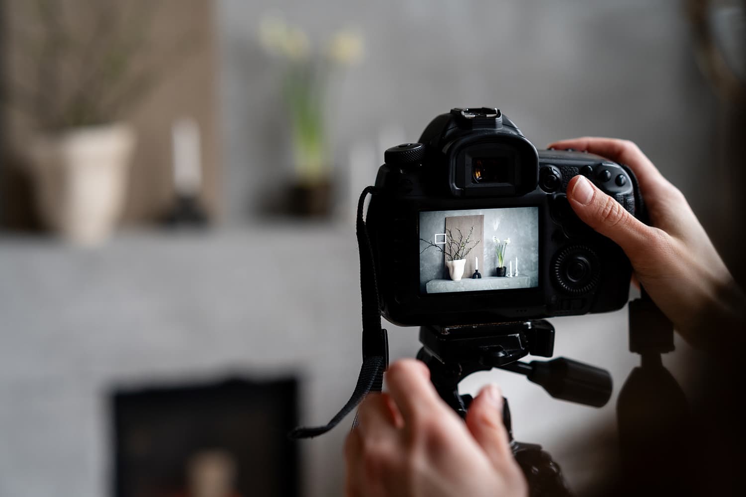 Professional photographer documenting valuables